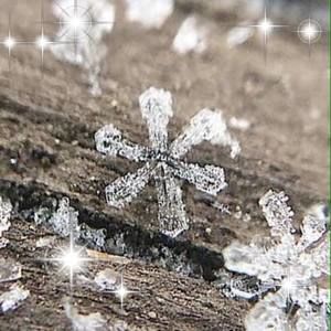 Meet your Posher, Dee anne